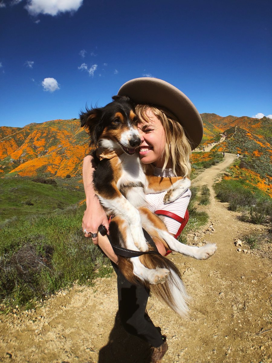 hitcase's tweet image. Stoked for spring!
📸 @actuallyitsaxel // Taken with the SuperWide Lens

hitcase.com/products/fishe…

#hitcase #SPRINGBREAK #California