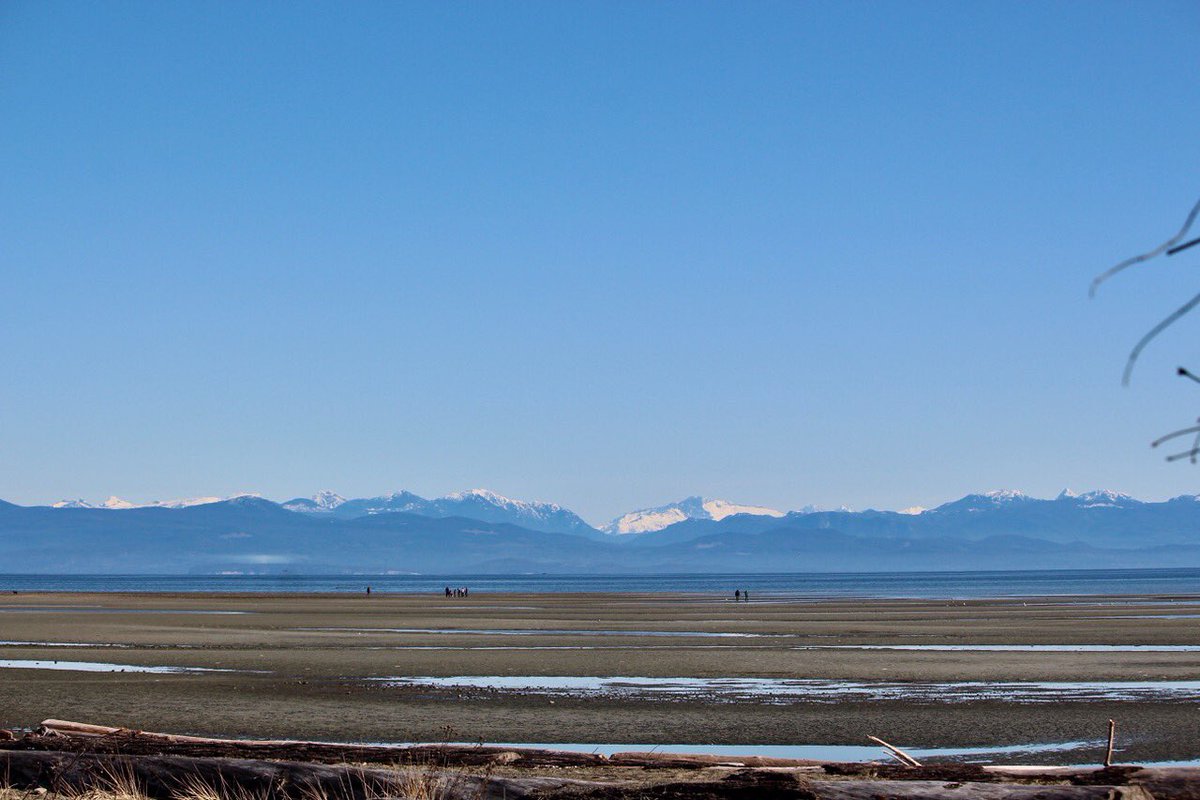 Beautiful Rathtrevor Beach today. It was so nice to see the Brant Geese there.  💙
@VisitParksville @vinorthtourism @TourismNanaimo @HelloBC @VanIsleVacation