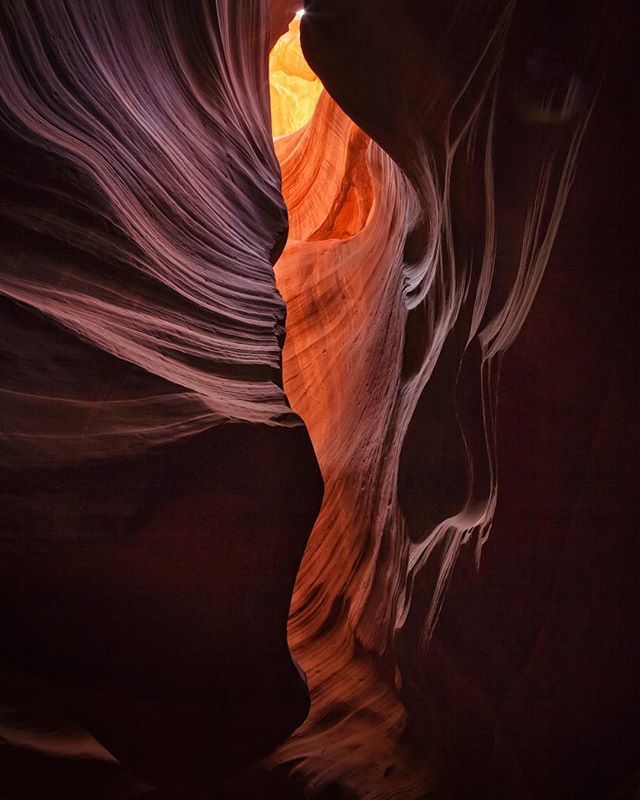 Todd_Frame's tweet photo. Phoenix rising. Gotta love all the shapes you can find in slot canyons

#divine_deserts #awesome_earth #southwestisbest #westbysouthwest #slotcanyons #arizona_landscapes #arizonahighways #optoutside #fingerprintofgod #moodygrams #abstractlandscapes #west… https://t.co/6fEmj8gH3y https://t.co/CXehPNrmqp