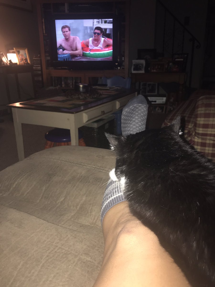 Harnad's tweet photo. The exciting life I lead..... #snl #queenharriet #llamasocks https://t.co/PC9RjYHzan