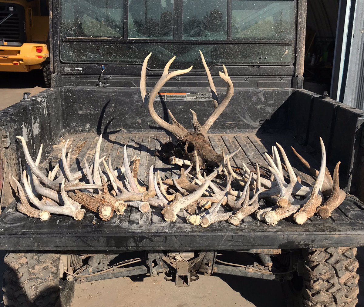 EROutfitters's tweet photo. Had a good day of shed hunting! #eagleranch #sheds #shedhunting #kansas #kansashunting #bow #hunting #bowhunting #whitetail #whitetailhunting #shedrally #antlers #bone https://t.co/r11Au3xc76