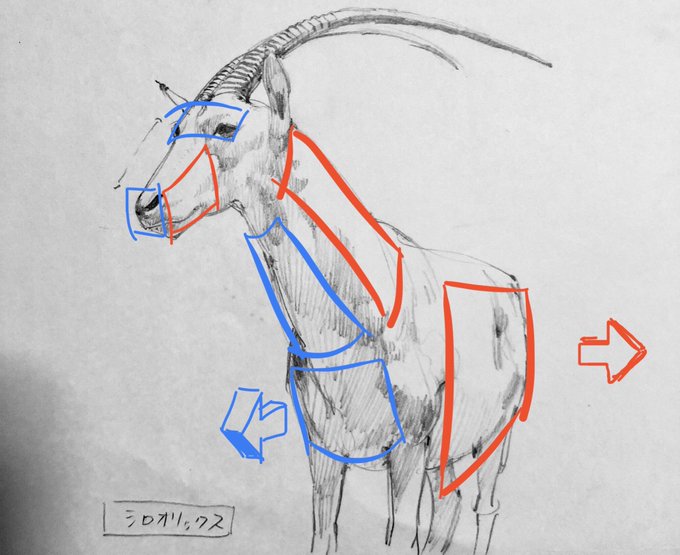 【面の向きと圧縮】
対象物の目に見える面積の広さは、自分の方を向いているか、向いていないかで変わる。青と赤の四角を見比べてみてください。だいたい同じ横幅ですが、実際の距離で言うと赤い四角のほうがずっと長いです。青い四角はこちらを向いていますが、赤い四角はそっぽを向いていますね。 