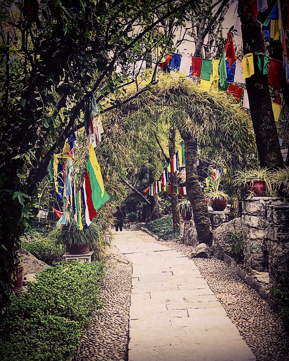 gettinhighonlyf's tweet photo. - everyone is UNIQUE in their own way.
- everyone chooses their own path.
- everyone has their own journey.
- everyone has their own story.
~paayal~
#prayerflags #betruetoyourself #iamwhoiam #selfmotovation #quoteoftheday #khaanabadoshiyat #journeyquotes #nomadicsoul https://t.co/FJPlPsvPv2