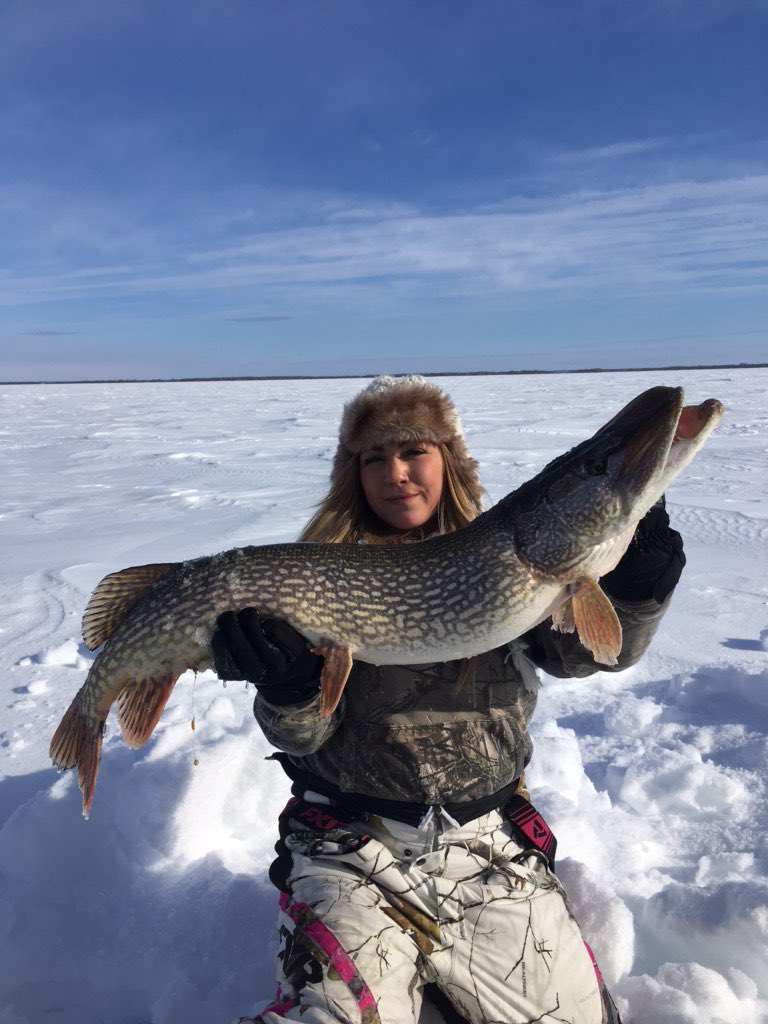 What a great couple days on the water! Over 50 pike landed, a new PB for Chelsey, and some cut up hands for me! @GloProLures <a href="/aquavu/">Aqua-Vu</a> <a href="/KamookiLures/">Kamooki Lures</a> <a href="/amphibiaeyegear/">Amphibia Eyegear</a> #pike #fishing #hardwater