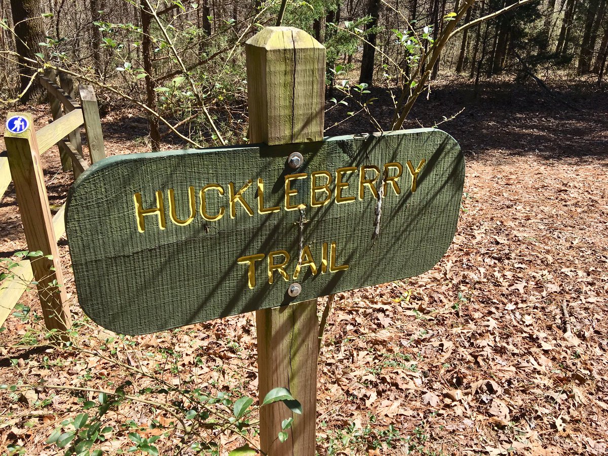 absolut_zer0's tweet photo. There is no way I was going to pass up a day like this without hitting the trail. 

#BeTheMovement 
#ypfit 
#marchmadness
#ypfitmarchmadnesschallenge19 https://t.co/74NyDfGJp4
