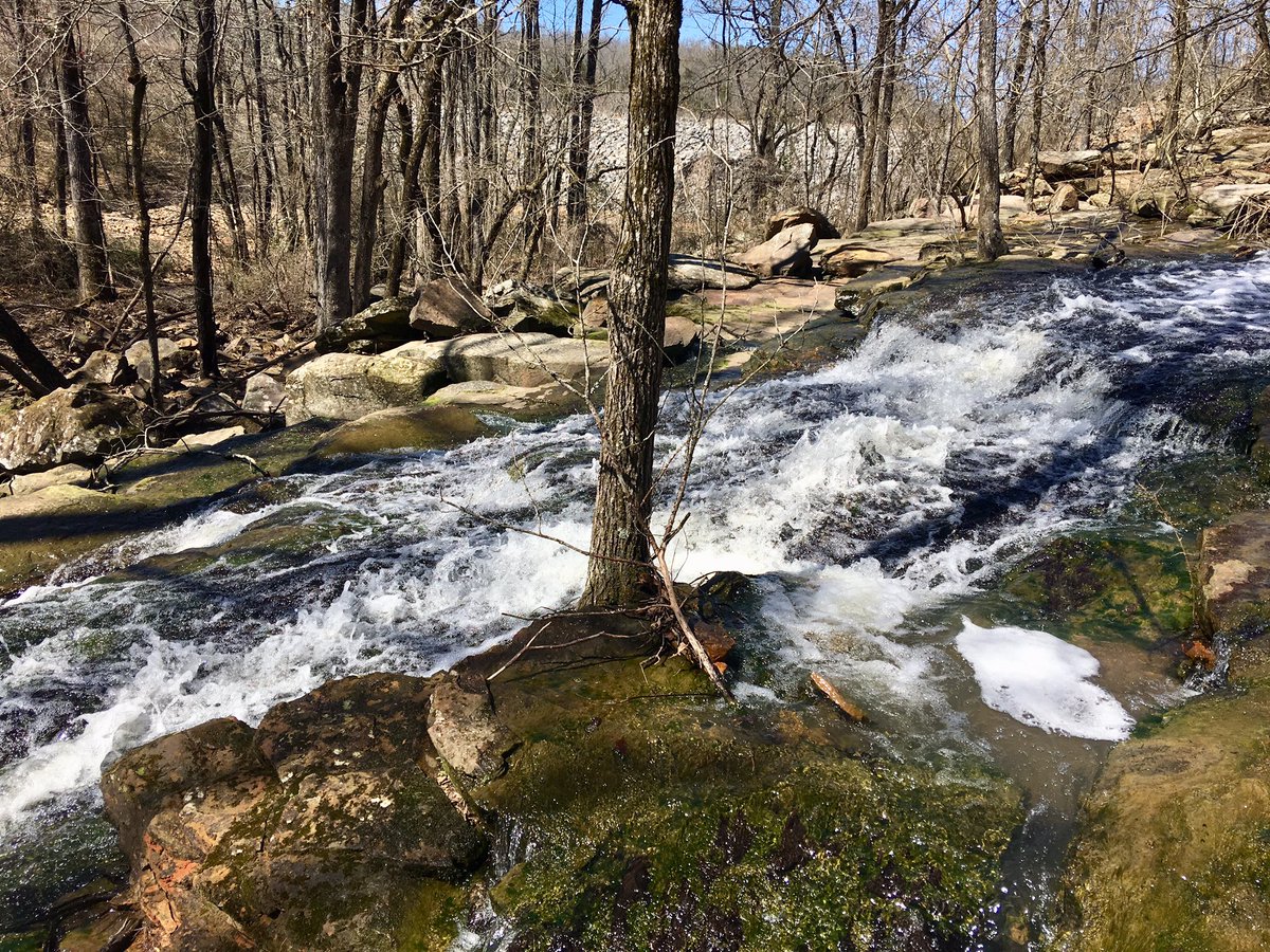 absolut_zer0's tweet photo. There is no way I was going to pass up a day like this without hitting the trail. 

#BeTheMovement 
#ypfit 
#marchmadness
#ypfitmarchmadnesschallenge19 https://t.co/74NyDfGJp4