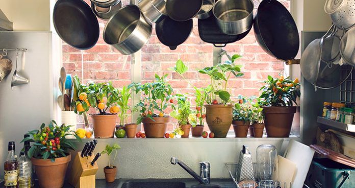 easyfoodmag's tweet photo. We've added an exciting new section in #EasyFoodMag - #KitchenInteriors! ✨ Here are just some of our #topstips to get the best out of your kitchen space! 🙌 https://t.co/7jNHBpMGG9 https://t.co/rICj70iSAT