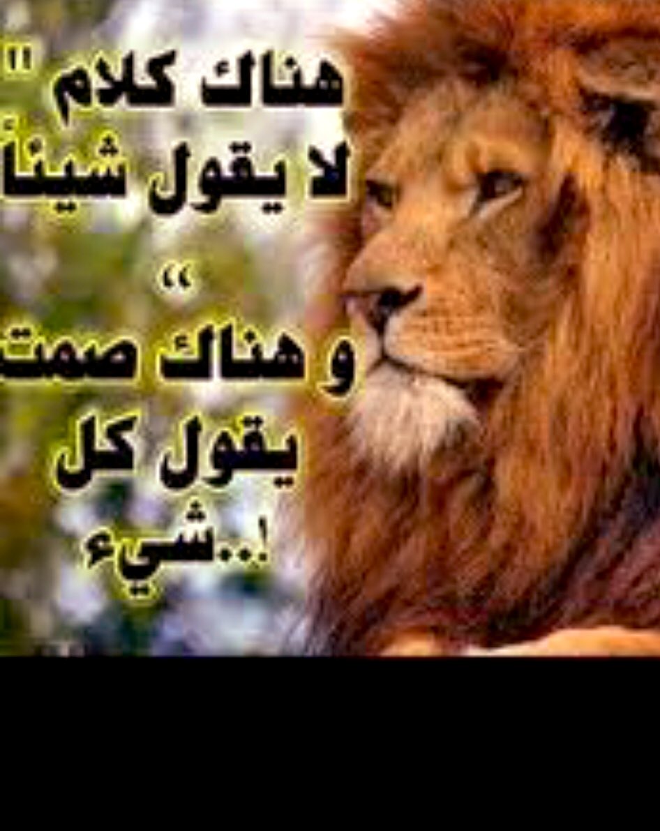 k79_alazmi's tweet photo. #اسقاط_القروض_لليوم_102
#الكويت

102 يوما والشعب يطالب والحكومة في سبات عميق..!والبنك المركزي الفاسد #مجلس_الأمة لاهث بالفساد المحصن..!

معاد فيها لا يمين ولا يسار..!حنا ماناخذ حقنا بحبة خشم..!

الظلم بركان تطفوا زئير الأسود في صدور الرجال ترعب صداه كل فاسد هذا صوت الشعب ياحكومة https://t.co/isseszkEsK