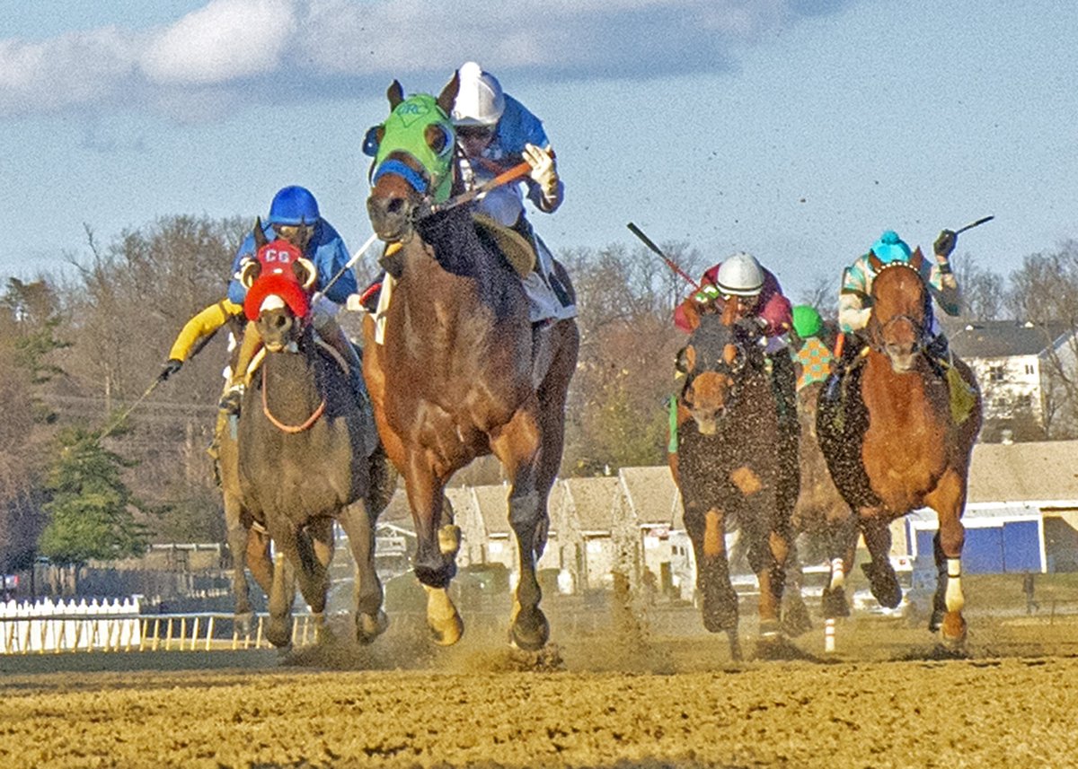 LaurelPark's tweet photo. #Lewisfield with #ArnaldoBocachica win the #NotForLove Stakes! https://t.co/Py1rKRmuzZ
