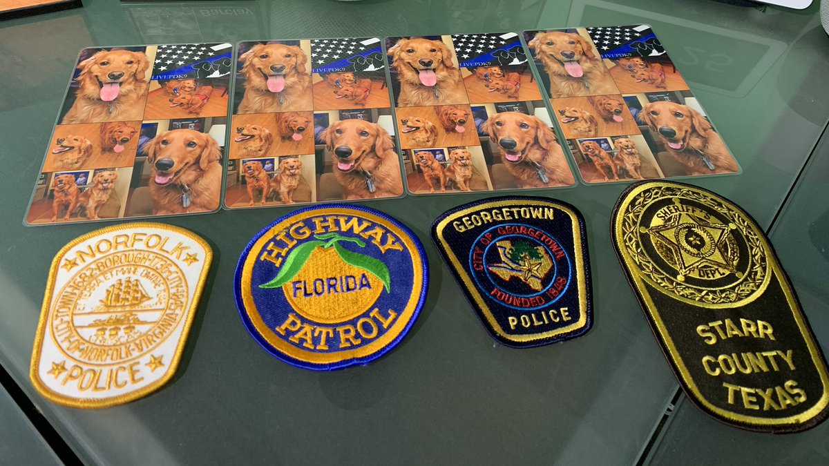 Barclay & Gus’s K9 Fanpage tweet media