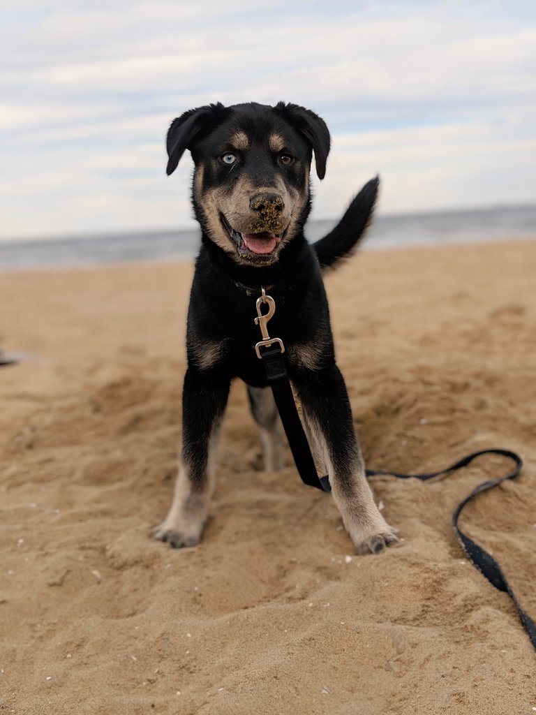 Grace Griffaton tweet media