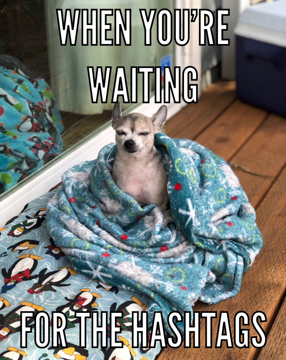 AnnAbuse37's tweet image. How is your afternoon going peeps? #magichashtags #TheExpanse #HossIsBoss #TheDrawlSaysAll #donkeyballs #ScreamingFirehawks