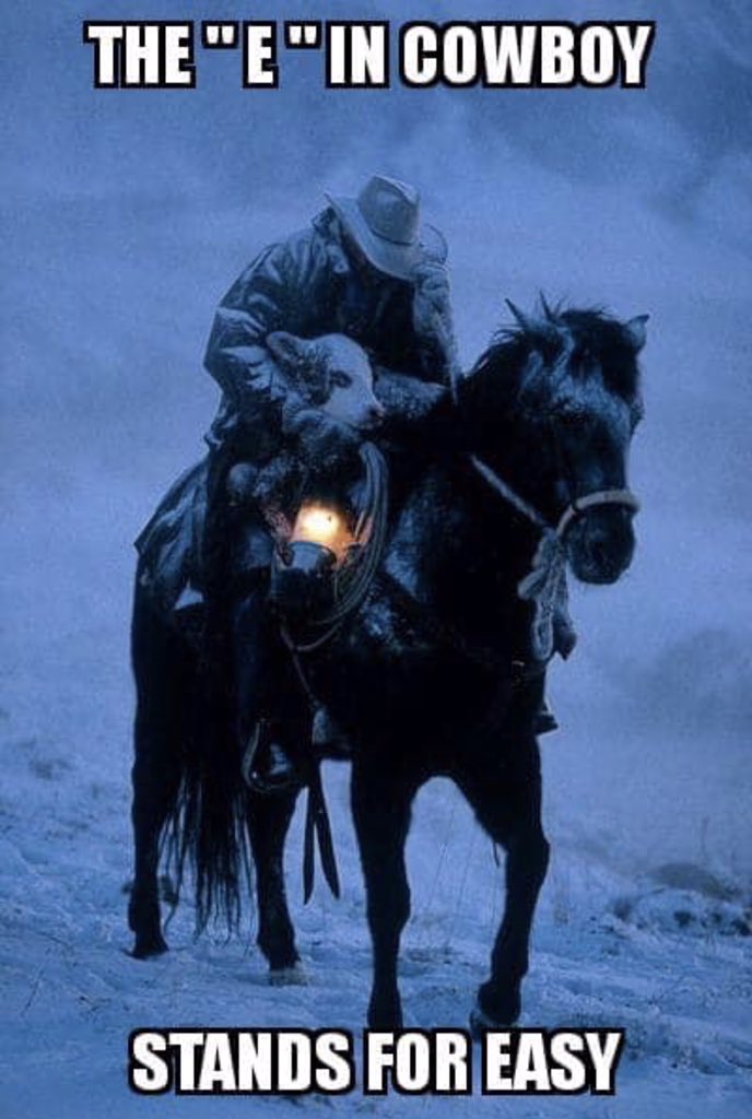 bethlutter's tweet image. Praying for those with cattle in NE and SD this week. Thousands of head lost between the snow and flooding. They’re not available for media interviews because they’re busy saving every spring calf they can, so please keep them in your thoughts.