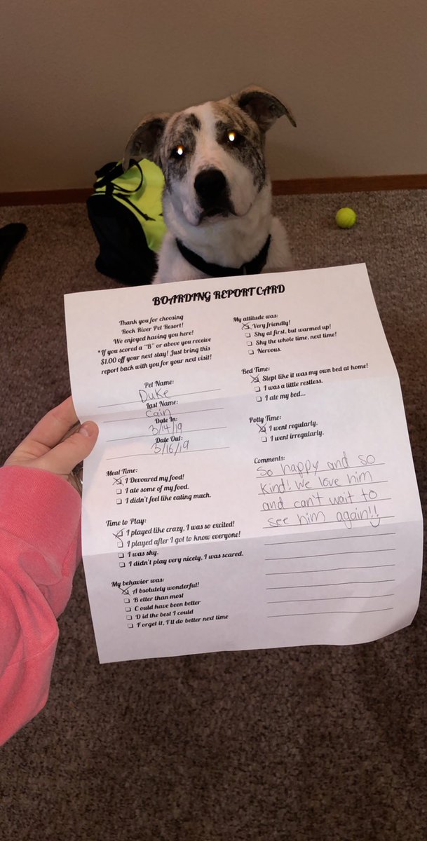 Duke got an A+ on his report card at the daycare. 13/10 good boy