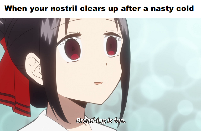 LaJester_2434's tweet photo. Lets go fold the dishes!!! #anime_kaguya #anime_island #AnimeJapan #AnimesDel1 #memekbecek #MemekSempit #memekmulus #memekabg #dankolov2019 #danke #dankbaar #dankaibigan #Nice06 #NicetomeetPAULTAN #NiceCreamFactory #nicetomeetyou #WeirdoBeto #tweetme #Retwet https://t.co/CMSEJBSwcF