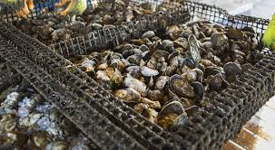 DanwilR's tweet photo. What is this photo have to do that can help New York's trouble? Read and RT this https://t.co/V3zgcQ28dR #SaturdayThoughts #Caturday #StPatricksWeekend #help #NewYork #truth #news #Tips #nature #MarineLife #ecosystem #Twitter #Pinterest #reddit #share #Like https://t.co/l3DFrYbJt7