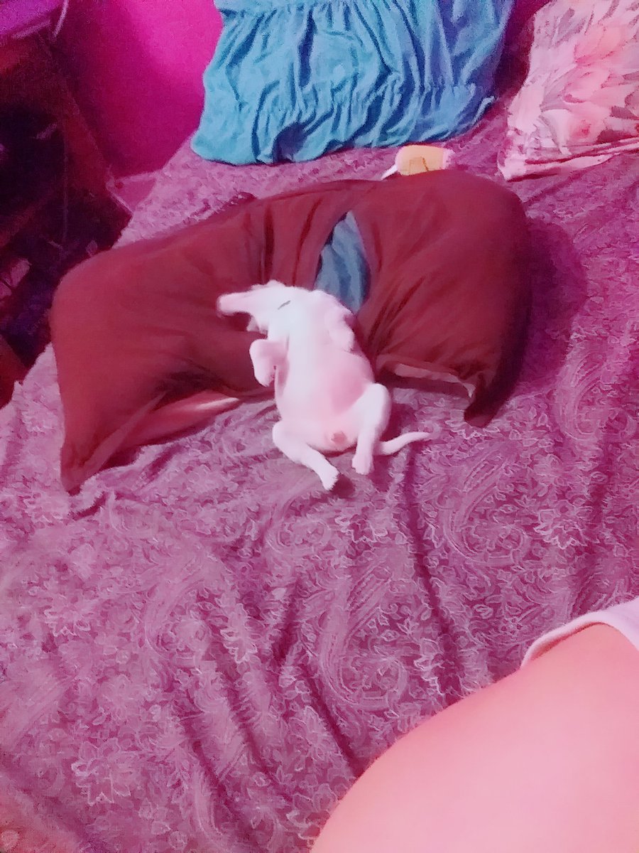lilith_esseker's tweet photo. @maire_wink #bellezaSuperior Mi princesa endemoniada baphy https://t.co/CMP6yUvDk7