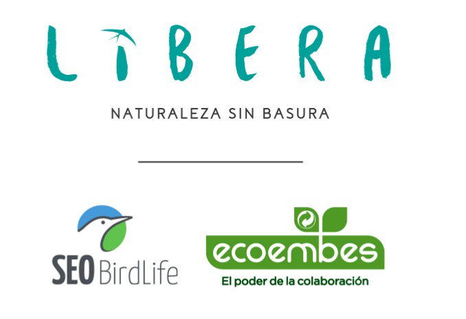 Seguimos. Proyecto #Libera. #CasetonesResineros en #Tardelcuende. @ecoembes @SEO_BirdLife @wuemes @nievesrey @ecoliever @AngelHervella @ElenaLpezRey @pablo_marinhas @mmarsaenzb @Olimpia_GS @ecoembes_com @Vertidos_Cero @asienes84 @azuc76 @EliezersanchezG @diaynoche5 @RMarti_SEO