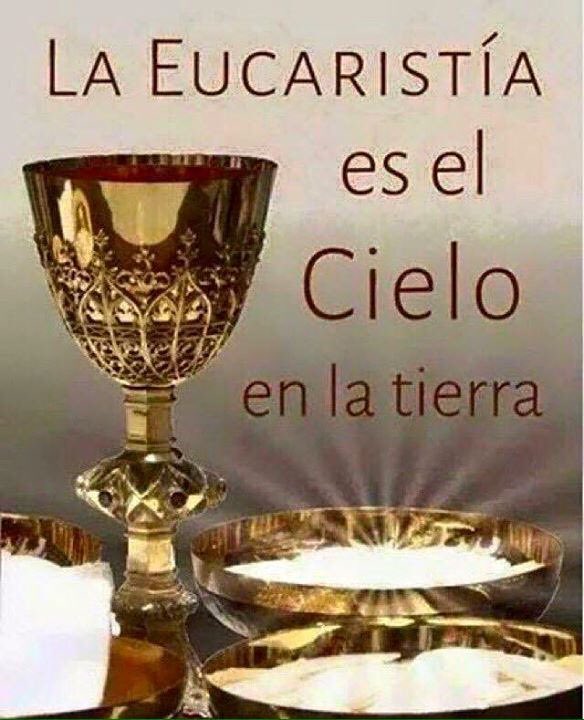 fernandoBiblia's tweet image. "La Eucaristía es anticipación del Paraíso y prenda de la gloria futura.  Quien se alimenta de Cristo en la Eucaristía no tiene que esperar el más allá para recibir la vida eterna: la posee ya en la tierra como primicia de la plenitud futura.” (S. Juan Pablo II)