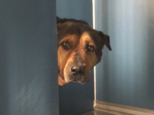 Keith Olbermann tweet media