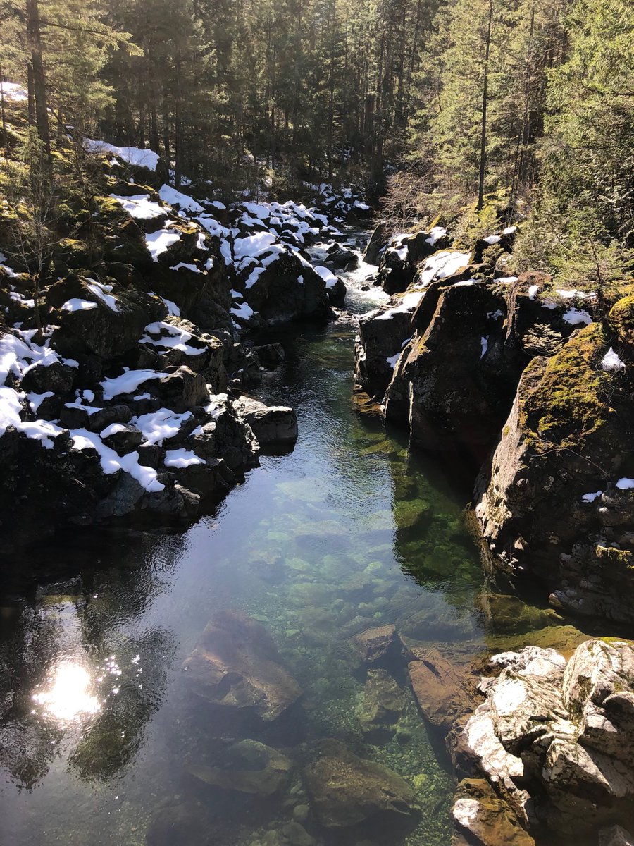 Beautiful day in Shawnigan Lake today! Checked out the Historic Kinsole Trestle then followed the Jack Fleetwood Trail along the Koksilah River for a 12KM loop.  Still ice and snow on the trails but halfway through I actually saw earth!#saturdayhikeseries