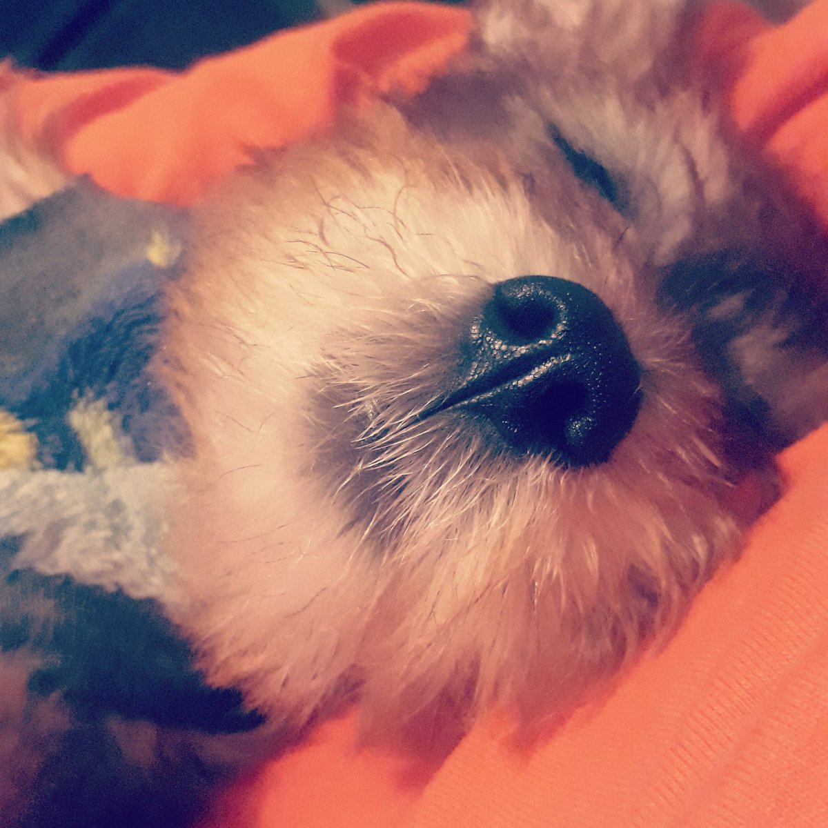 #bellezasuperior <a href="/maire_wink/">maire wink</a>  ❤

Max♡