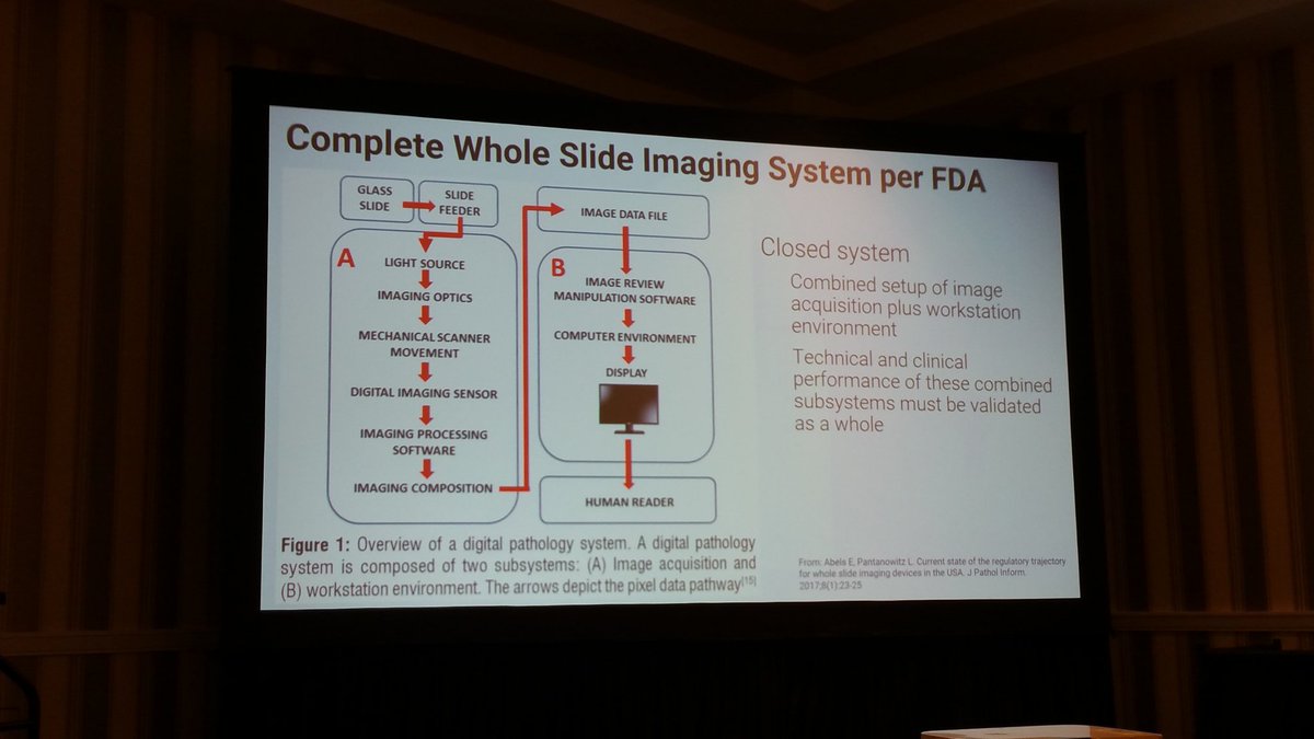 Ulysses Balis tweet media