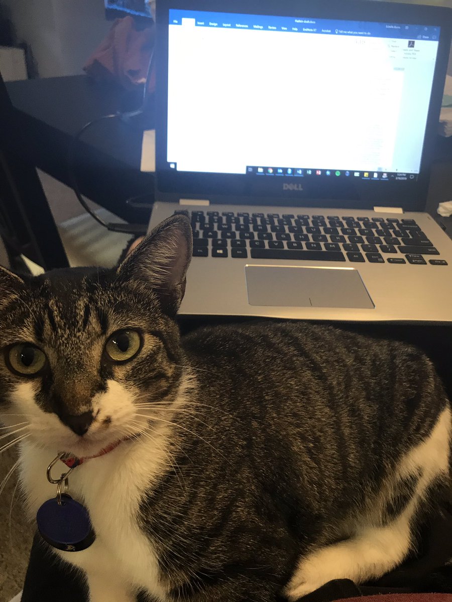 echelle_burns's tweet photo. Today on “My Life as a Grad Student”: Petals writes a thesis. #catswithjobs #notsohelpful https://t.co/iCvHzNvp1v