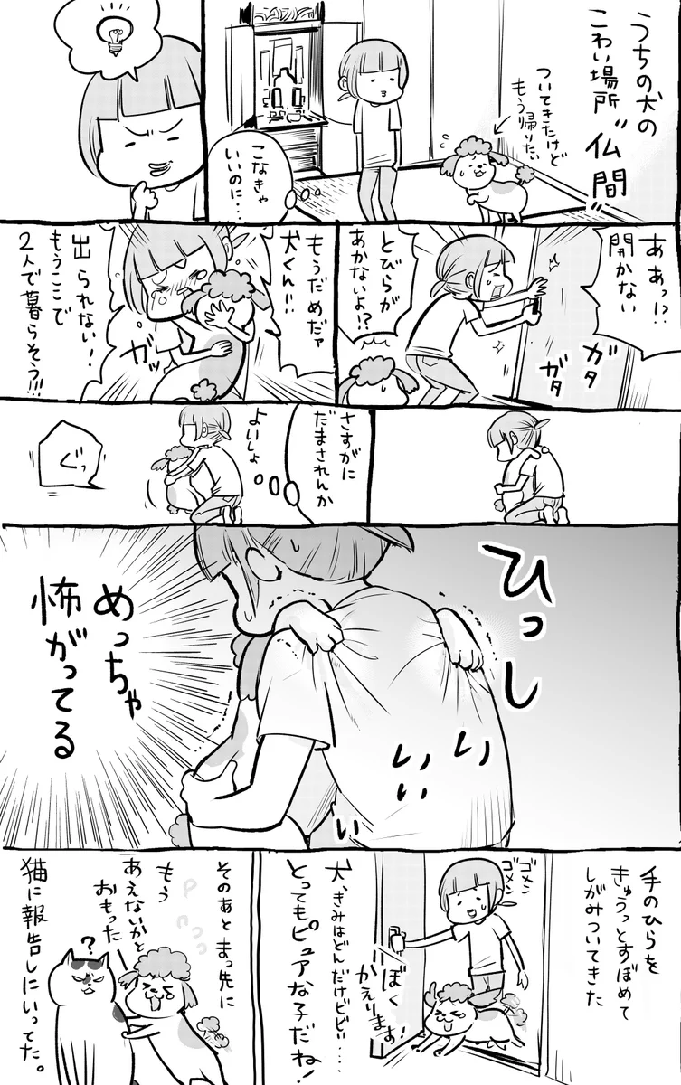 犬と猫どっちも飼っていると苦手な場所の存在が面白すぎるww