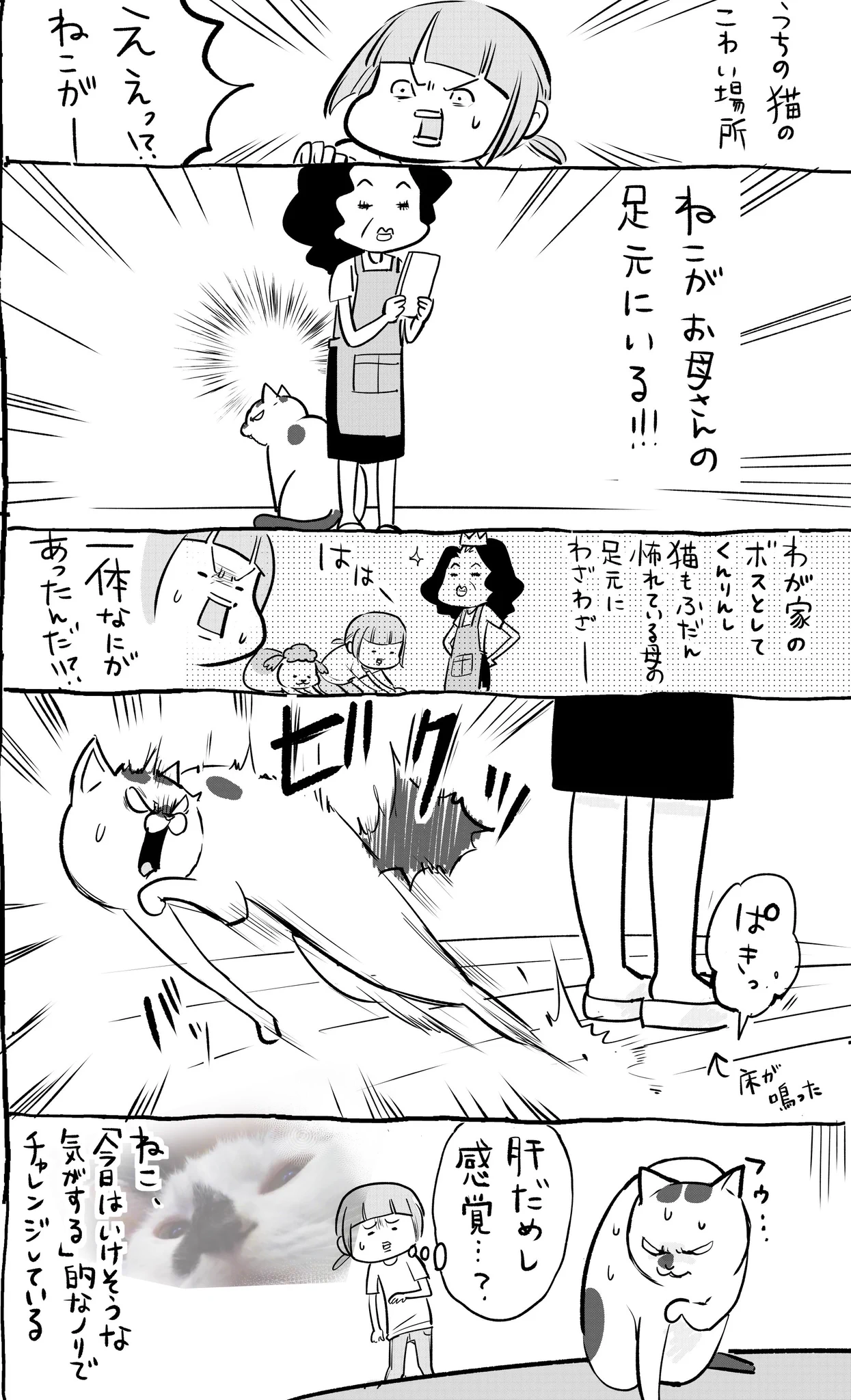 犬と猫どっちも飼っていると苦手な場所の存在が面白すぎるww