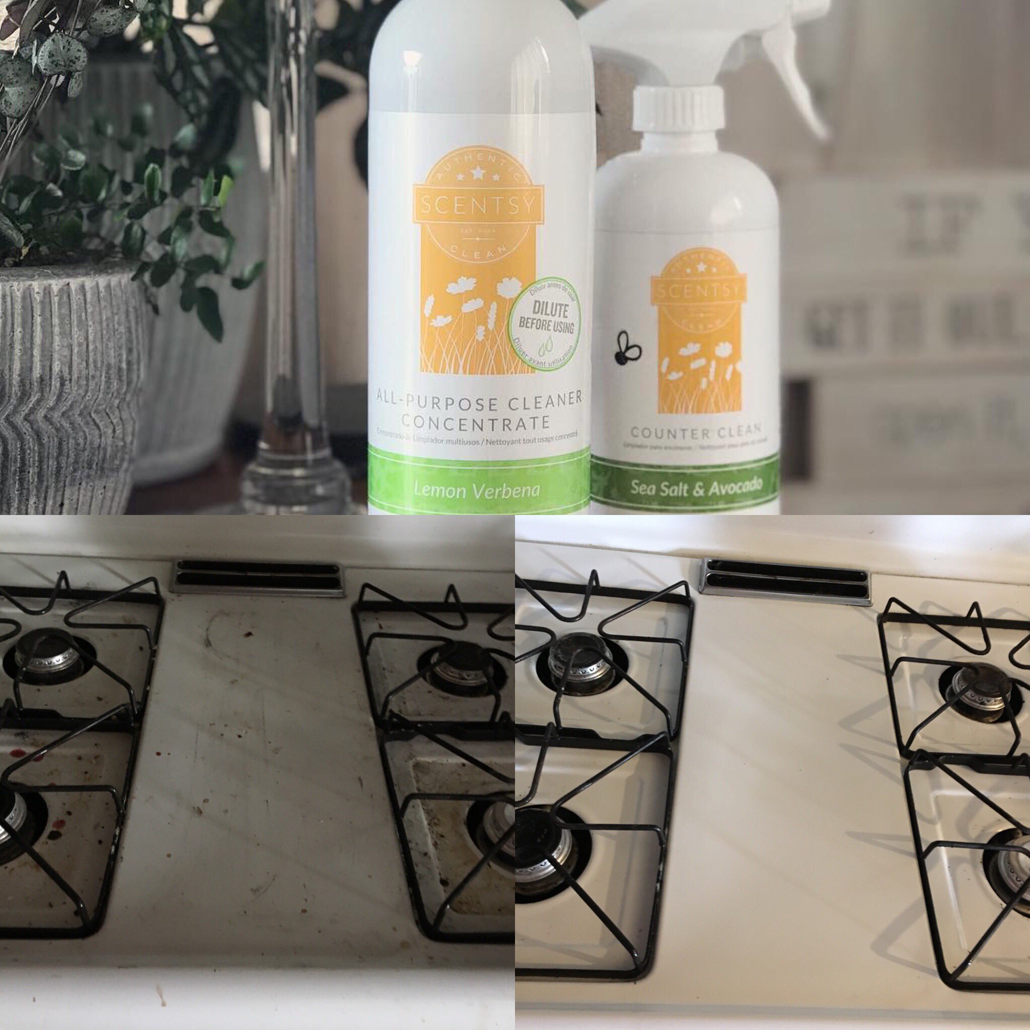 Scentsy Clean Before And After