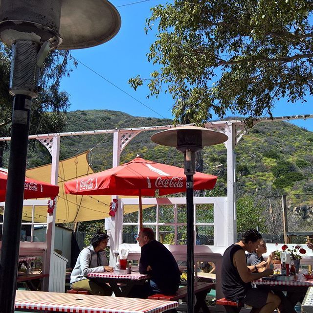 BestCoastSurf's tweet photo. Perfect cap for a perfect day. #reelinn #malibu #bestcoast #surf #california @reelinnmalibu #fishandchips https://t.co/MWUjdsOoOt https://t.co/VAyJh6t7za