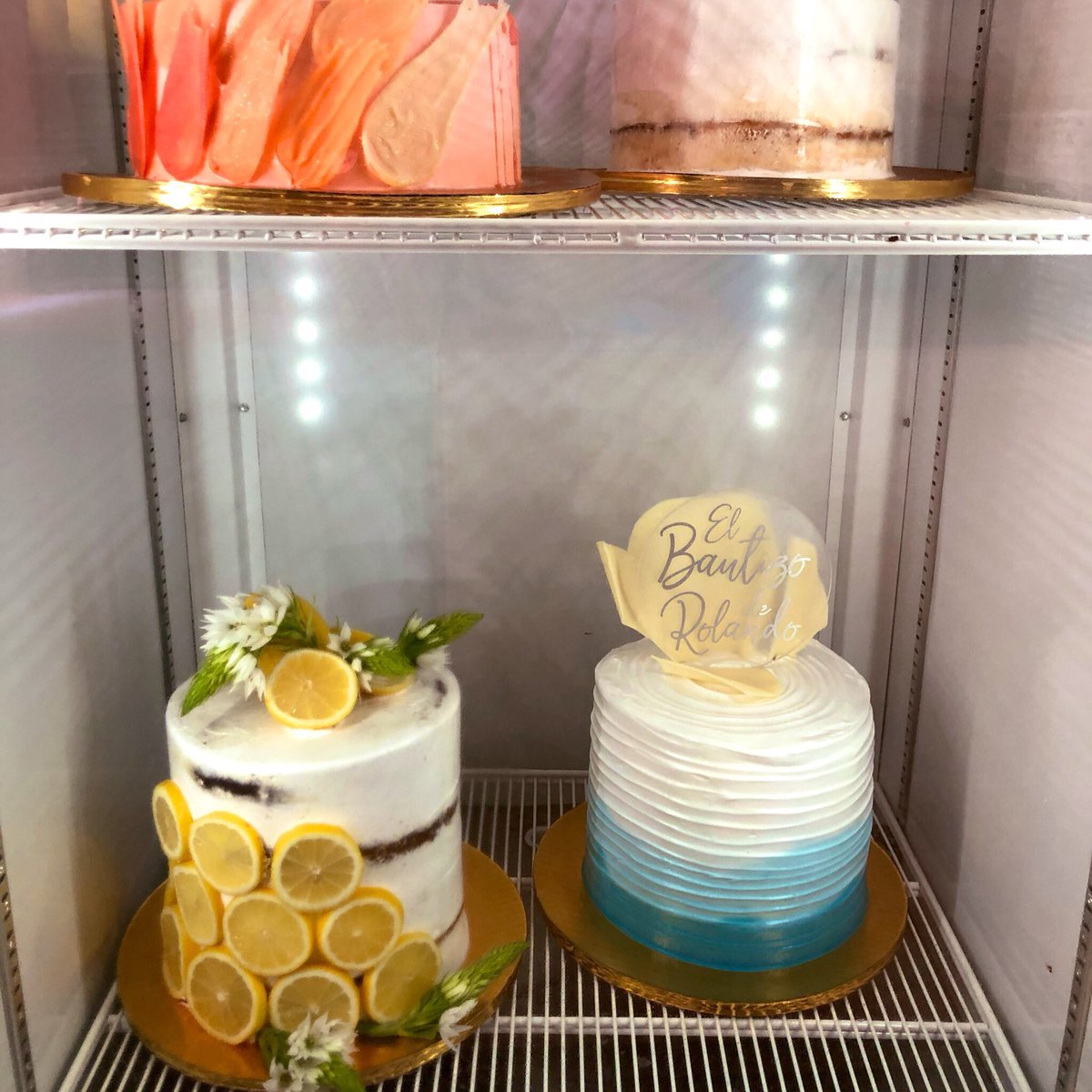 TAN 🌞 tweet media