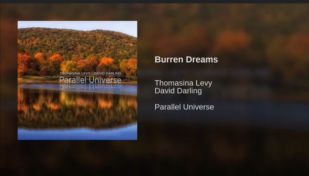 DulcimerSong's tweet photo. In honor of St Pats day here’s a song I composed after visiting Ireland. #dulcimer #celticmusic #iloveireland #davidarling #irishmusic #StPatricksDay #heartsofspacerecords https://t.co/BZyC7i1dXc https://t.co/NOX3neXCs8