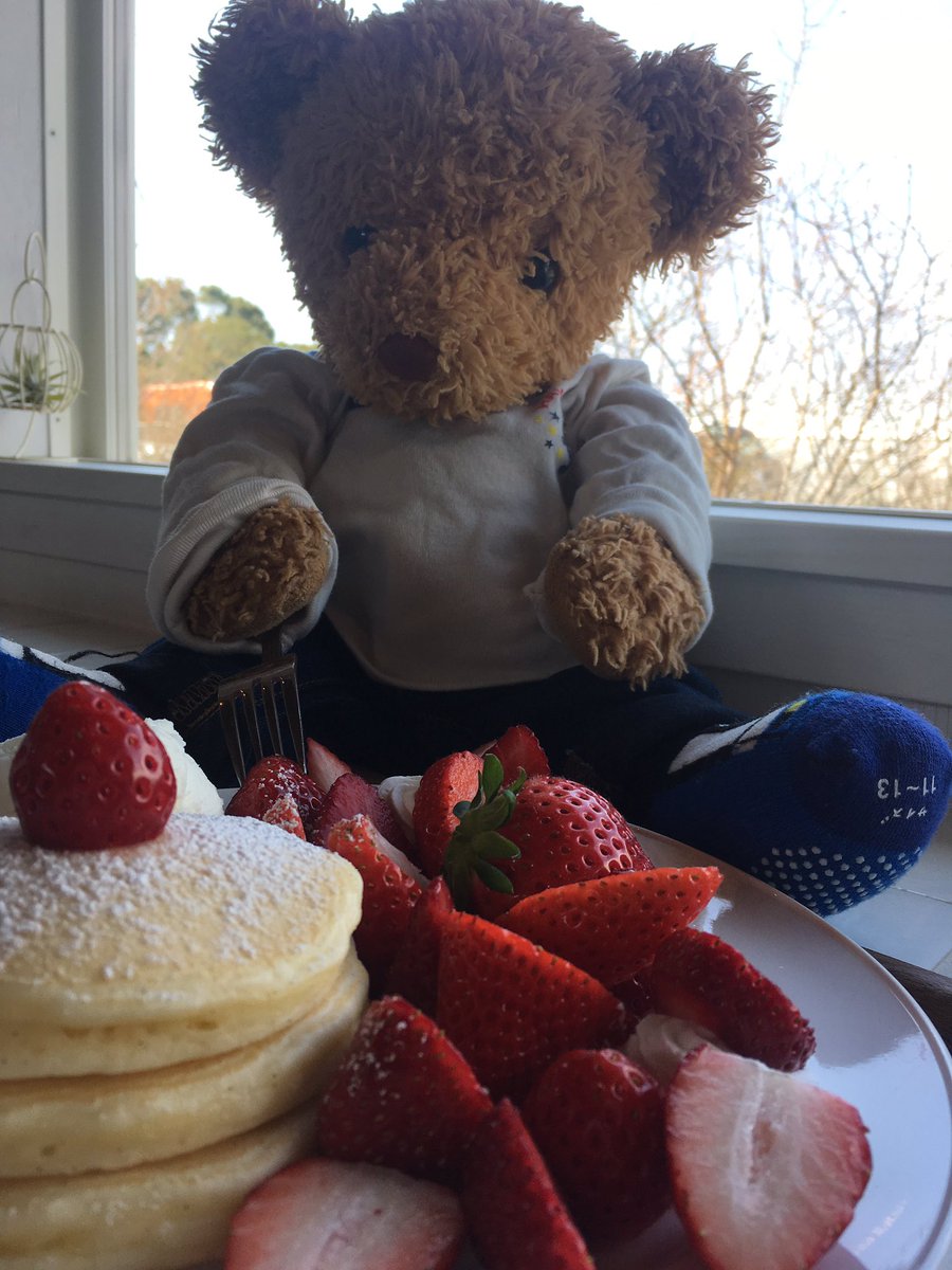 くまくん おはよう いちごさん ぬいぐるみ ぬい撮り テディベア Teddybear パンケーキ食べたい 千葉 茂原 いちご くまくん おはよう いちごさん ぬいぐるみ ぬい撮り テディベア Teddybear パンケーキ食べたい 千葉 茂原 いちご