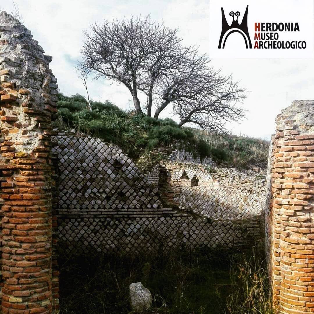 'LE BOTTEGHE NEL MACELLUM'
Ringraziamo @invasionidigitali per questo scatto!📸
▪
(#Herdonia, vista coi vostri occhi e raccontata da noi...👌🏺)
 #Puglia #visitpuglia #thisisitaly #thisispuglia #visitherdonia  #Ordona #tourism  #discover_italy #amolapuglia #herdoniamuseo