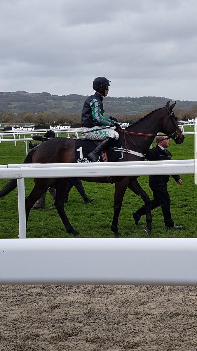 jodejeff's tweet photo. Altior the superstar 👌 #topclass #championchase #CheltenhamFestival2019 #teamhenderson ❤❤ https://t.co/Yk0BFYuH29