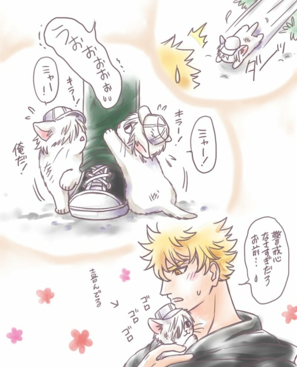 にゃん細胞まとめ2 #漫画 #はたらく細胞 #白血球 #キラーT細胞 #キラ白 https://t.co/WJx63TuGd2