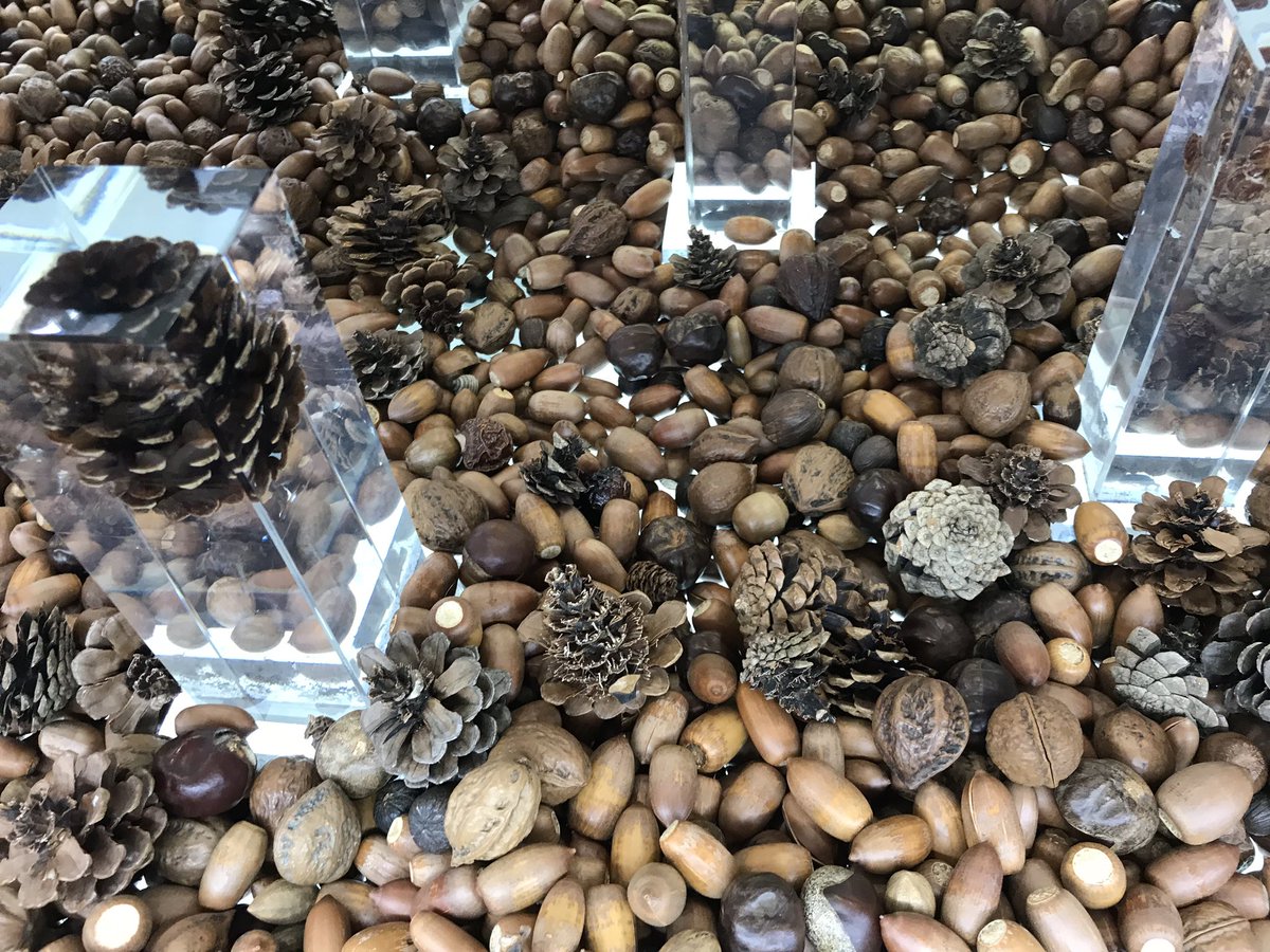 ムサオ Twitter Search