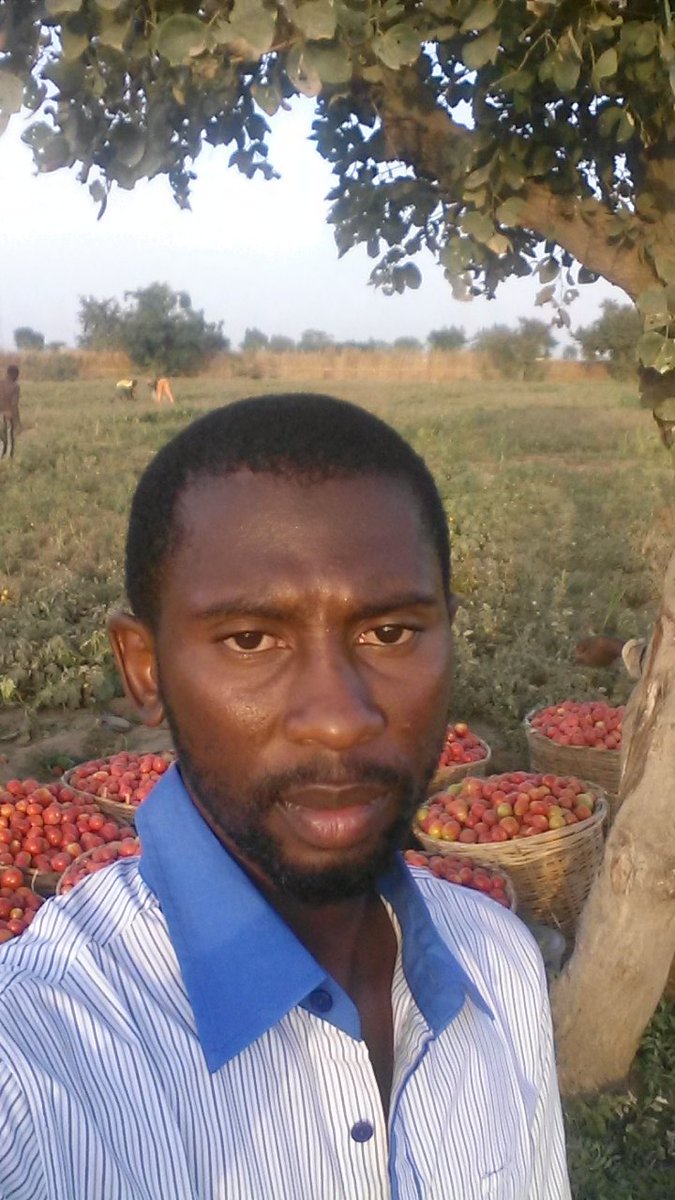 Suimmani's tweet photo. Hello Twitter. My name is Suleiman umar mani I'm from katsina. Graduate of Agricultural and bioresouce Engineering. I'm into production of Fresh tomato, onion and sweet pepper.   #ThisIsMyHustle https://t.co/NPjKYOqlyC