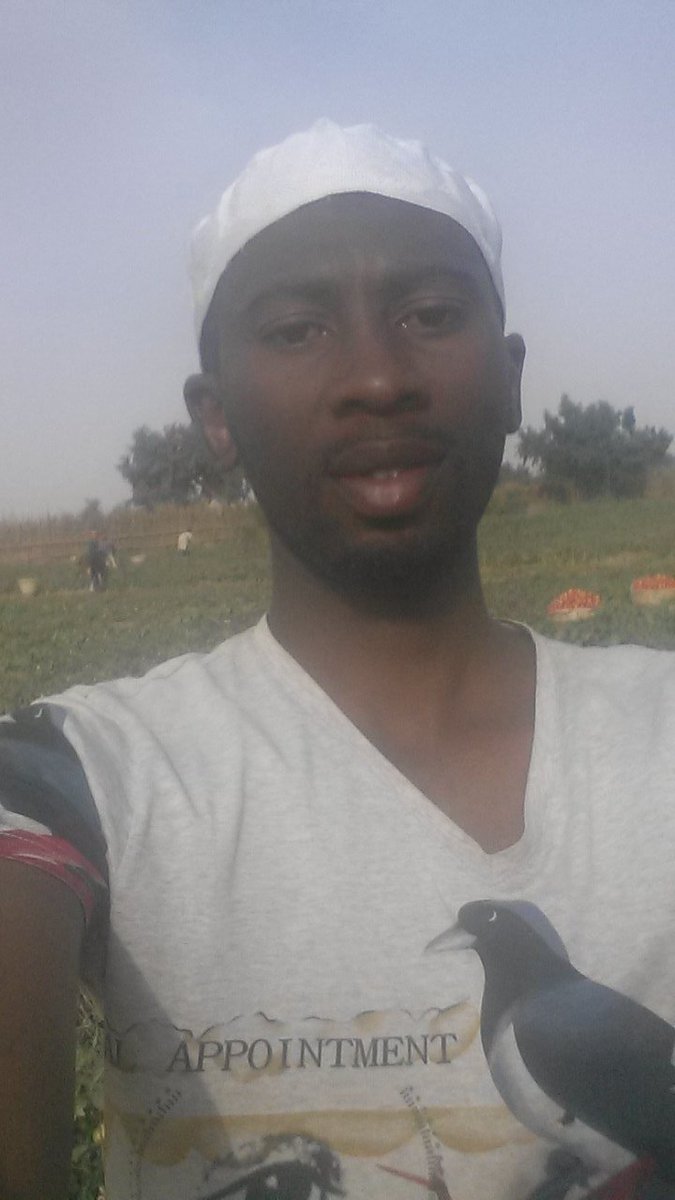 Suimmani's tweet photo. Hello Twitter. My name is Suleiman umar mani I'm from katsina. Graduate of Agricultural and bioresouce Engineering. I'm into production of Fresh tomato, onion and sweet pepper.   #ThisIsMyHustle https://t.co/NPjKYOqlyC