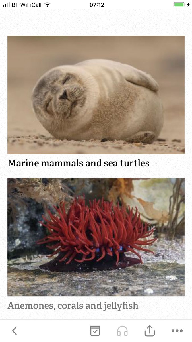 NorthCornwallKids tweet media