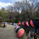 ツイートに含まれる画像