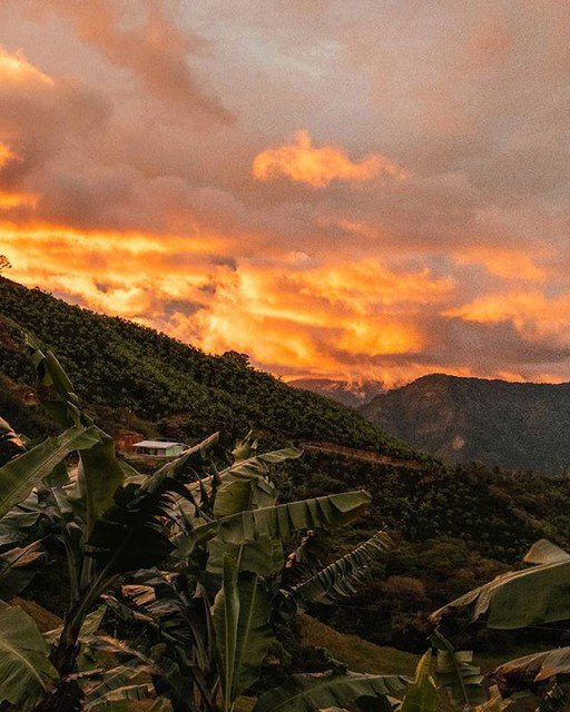 Reposting @mariela_cascante:
Y esto es San Carlos de Tarrazú: Matas de platano, café y hermosos atardeceres ♥
.
.
.
.
. 
#skyporn #world_bestsky #sunsetview #costaricaexperts #descubrecostarica #thisiscostarica #sunset_pics #costaricacool #sunset_vision #costaricapuravida