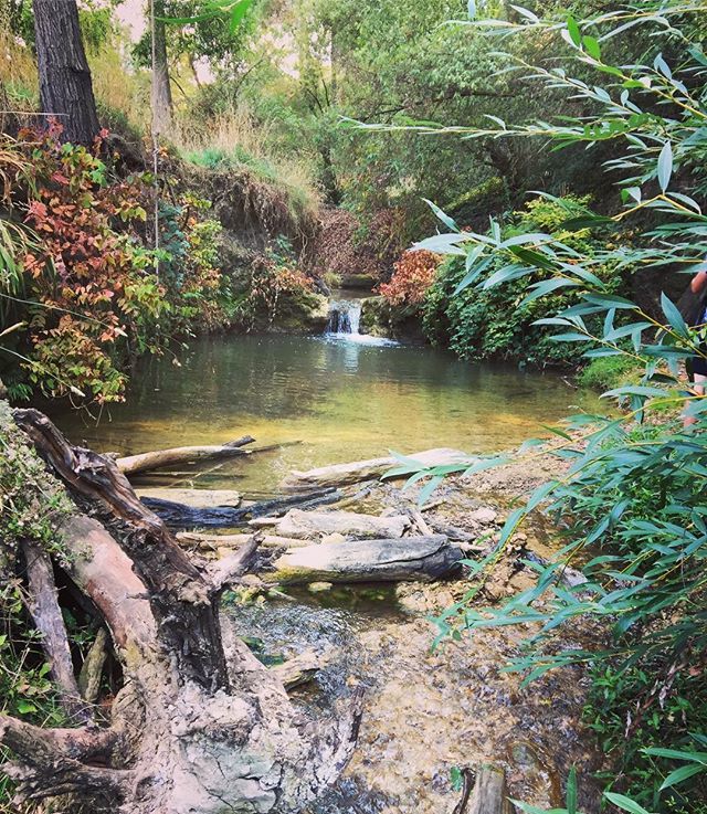 SimpleLivingBA's tweet image. Found this swimming hole complete with rope swing - of course Hami couldn’t resist and dived in #hikingdiscoveries #swimminghole #back2nature ift.tt/2JfVaP2