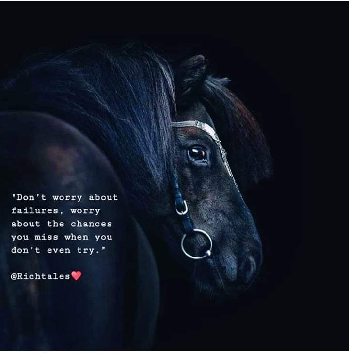 Haroon07334970's tweet photo. https://t.co/ZSxVP8MwUi