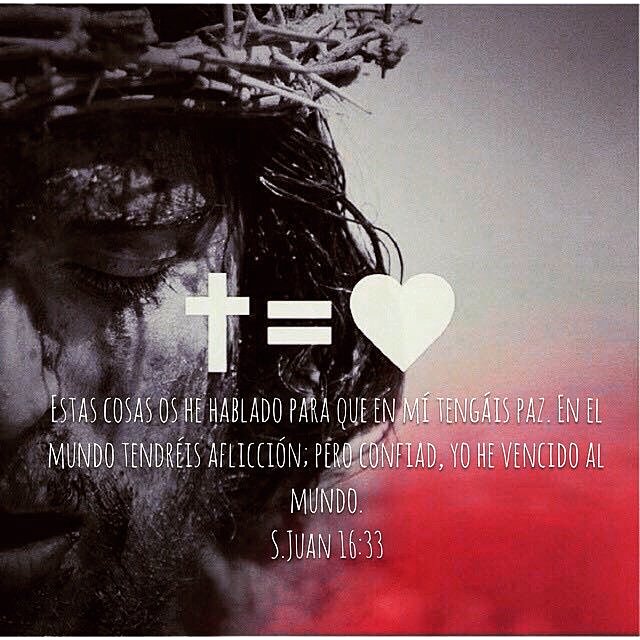 soyfreedom_org's tweet photo. Estas cosas os he hablado para que en mí tengáis paz. En el mundo tendréis aflicción; pero confiad, yo he vencido al mundo.
S.Juan 16:33 RVR1960
#Revival #AñoDeAvivamiento #VamosPorUnoMas #FreedomMiCasa #FreedomMiFamilia #FreedomBogota #FreedomColombia #Freedom https://t.co/VQW9G7IzSo