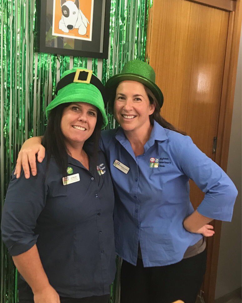 HightonVet's tweet photo. The party continues hope everyone is enjoying St Paddy’s Day 🍀 the HVC team are 😂
🇨🇮 🍀 🇨🇮 🍀
#geelongbusiness #🇨🇮 #hightonvet #stpaddysday #vetnursing #dogsofgeelong #funatwork #🍀 #geelong #veterinarian #happystpaddysday #irish #geelong #eire #veterinary https://t.co/J3snmfm5Ym