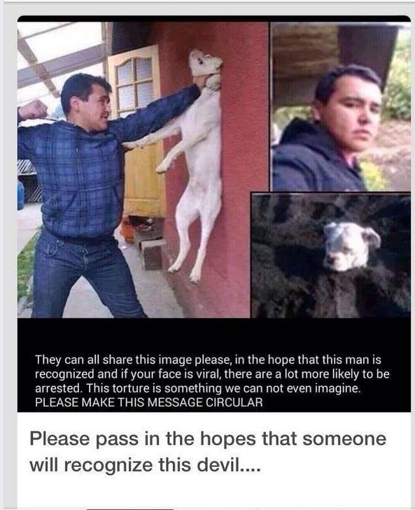 ray_brann's tweet photo. Everyone please RT this in hopes of this P.O.S being recognized , &amp; prosecuted ! https://t.co/EU6Q1gB5ny