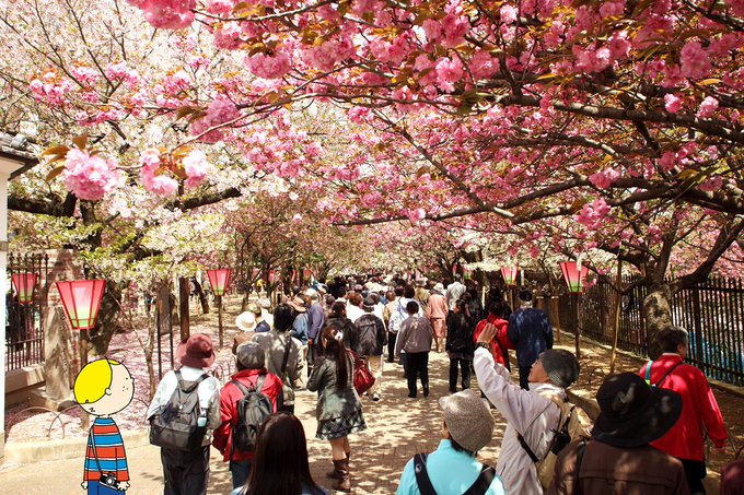 桜の 通り抜け 2022 予約 造幣局 造幣局「桜の通り抜け」で屋台2022！場所や時期、時間はいつまで？
